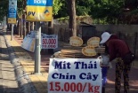 Cẩn thận với 'mít Thái chín cây'