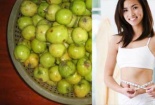 Giảm mỡ bụng hiệu quả với ‘thần dược’ táo mèo
