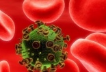 Phát hiện bằng chứng liên quan khả năng tái sinh của virus HIV