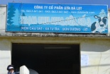 Nông dân bức xúc, doanh nghiệp bất lực phải đổ bỏ sữa bò