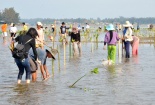 Chính phủ phân bổ 3.000 tỷ đồng cho ứng phó với biến đổi khí hậu