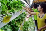 Hà Nội: Có sự thông đồng để đưa rau bẩn vào siêu thị lớn?