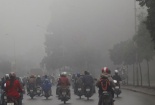 Dự báo thời tiết hôm nay ngày 24/1/2015: Miền Bắc có sương mù vào sáng sớm, ngày nắng