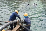 Hướng đi nào cho các nhà mạng ngoài cáp quang biển AAG?