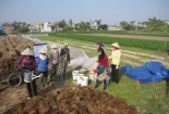 Khoa học góp phần nâng cao hiệu quả sử dụng phế phẩm nông nghiệp