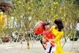 Ngày Tết mặc gì để gặp may mắn?