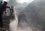Quảng Trị: Phát hiện, tiêu hủy cả tấn gà 'vượt biên'