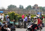 Dự báo thời tiết ngày mai 10/02: Nhiệt độ tăng nhẹ, miền Bắc ấm áp