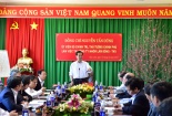 Thủ tướng: Rà soát quy hoạch phát triển cây mắc ca