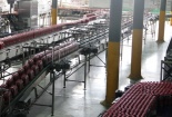Kiểm tra  toàn bộ dây chuyền sản xuất Tân Hiệp Phát trước Tết