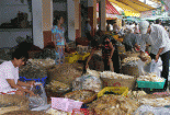  An toàn với cẩm nang chọn đồ khô