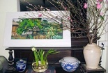 Bí quyết để giữ hoa đào tươi suốt Tết
