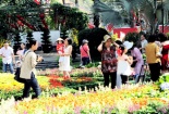 Xem ngày khai trương đầu năm cho người tuổi Tỵ, Thân