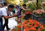 Quảng Ninh: Xử nghiêm dân bắn pháo trong đêm giao thừa
