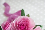 Cách làm hoa hồng bằng giấy nhún đẹp như thật 
