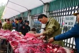 Lễ hội chọi trâu Phúc Thọ: Bắt nhiều người bán thịt trâu chọi rởm