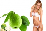 Bí quyết chống lão hóa, điều trị trứng cá từ lá ổi 