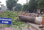 Đọc báo hôm nay: Những tin tức mới cập nhật  ngày 18/03/2015