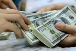 USD tiếp tục tăng, NHNN có thể phải điều chỉnh tỷ giá