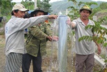 Phú Yên: Giếng nước tự phun trào nuôi sống hàng trăm hộ dân