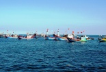 Máy bay rơi tại Trường Sa: Ngư dân đã nhìn nhầm?