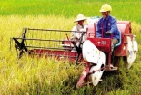 Bổ sung kinh phí hỗ trợ đất sản xuất, mua sắm máy móc nông cụ
