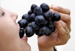 Chống ung thư, sáng mắt nhờ công dụng của trái nho