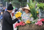 Dự báo thời tiết ngày mai 13/4/2015: Đầu tuần, miền Bắc hửng nắng, nền nhiệt tăng nhẹ