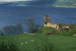 'Ông lớn' Google giúp giải mã quái vật bí ẩn hồ Loch Ness 