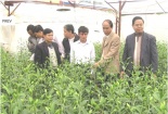 Tự chủ khoa học: Địa phương kêu khó