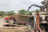Ứng dụng cơ giới hóa giúp tăng năng suất ngành mía đường