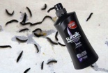 Đỉa có thể sống được trong chai dầu gội đầu Sunsilk bồ kết hay không?