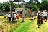 Thanh Hóa: Hoang mang với trạm biến áp phóng điện giật chết gia súc