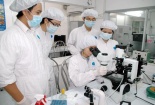 Kinh phí với nhiệm vụ KH&CN sử dụng ngân sách nhà nước quy định thế nào?