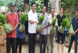 Quảng Ninh: Tặng 100 nghìn cây keo giống cho hộ nghèo ở Ba Chẽ