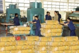 Cao su xuất khẩu tiếp tục rớt giá, giảm gần 28%