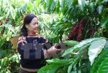 Ba học sinh sáng chế máy chưng cất rượu cần hương vị cà phê