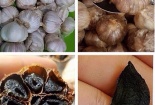 Tỏi đen 'thần dược': Người tiêu dùng lạc vào mê cung xuất xứ và giá cả