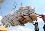 Đã xuất khẩu hơn 2 triệu tấn gạo