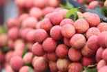 Trái vải Việt sang Pháp: 240.000 đồng/kg vẫn đắt hàng