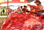 Kỹ thuật nuôi trâu  cho năng suất chất lượng thịt tốt 