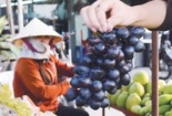 TP.HCM: Hoang mang trái cây giá rẻ không rõ nguồn gốc