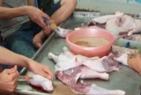 Phát hiện một số cơ sở tiêm dung dịch lạ vào chân giò muối