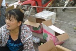 Nhập nhèm nguồn gốc, đào Trung Quốc đội lốt đào mỏ quạ Sapa
