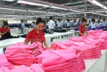 50% số doanh nghiệp FDI dự kiến sẽ mở rộng quy mô sản xuất
