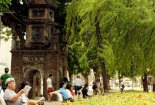 Dự báo thời tiết ngày mai 8/7/2015: Ngày nắng, chiều tối có mưa rào và dông vài nơi 