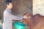 Vụ án oan Nguyễn Thanh Chấn: Được minh oan vẫn chưa yên thân