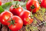Dưỡng da toàn diện với các công thức làm đẹp từ cà chua 
