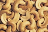Thu hồi gần 4 tấn hạt điều nhiễm khuẩn độc hại
