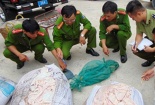 Tin tức pháp luật mới nhất hôm nay ngày 13/7